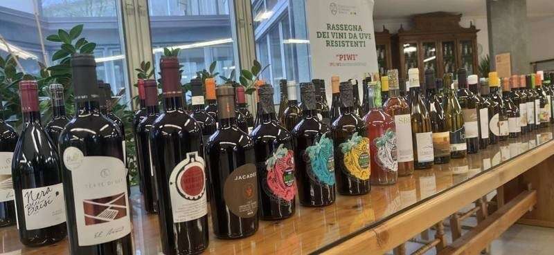 fonte ufficio stampa FEM